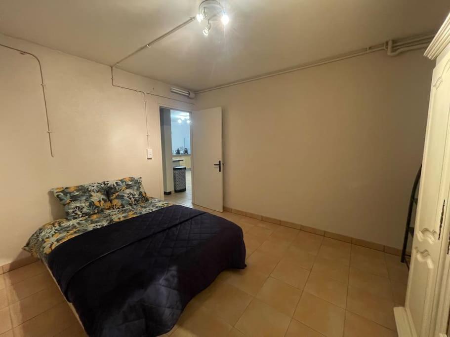 Appartement Independant En Rdc Chez Habitant Lannemezan Buitenkant foto